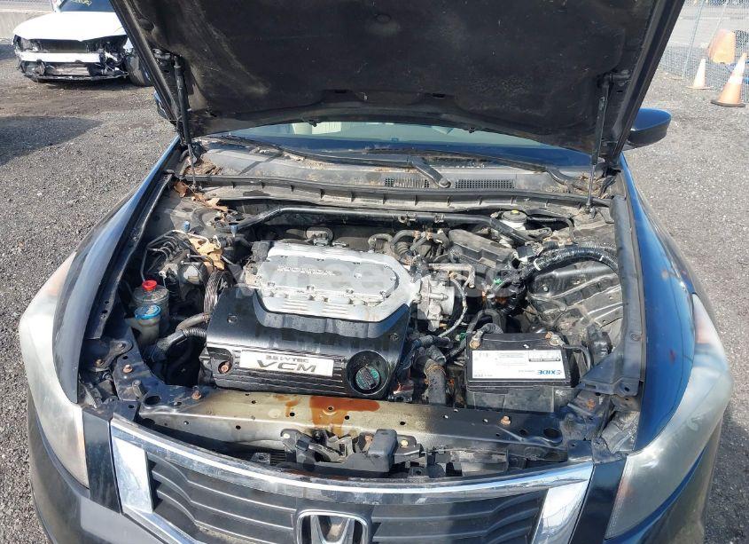 Photo 10 of 2010 Honda Accord 3.5 EX-L (VIN 1HGCP3F83AA003995)