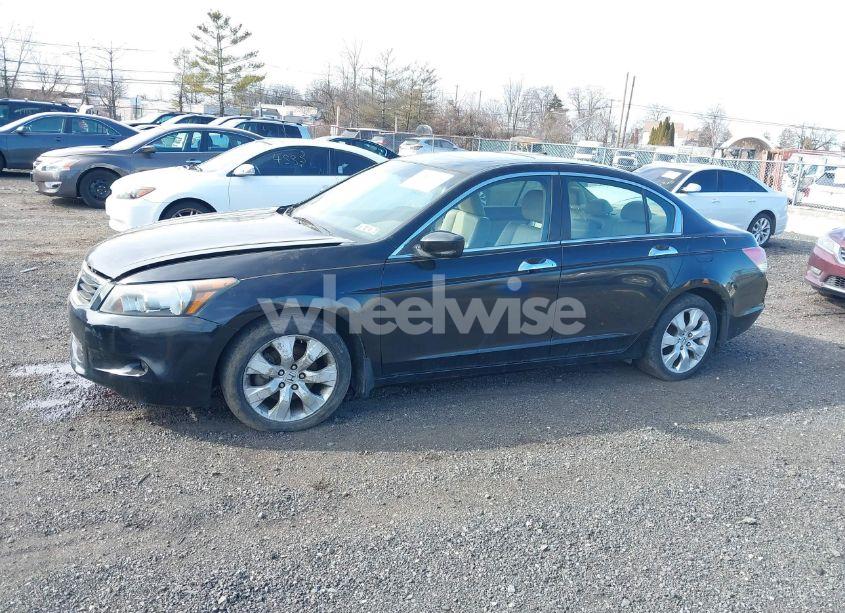 Photo 14 of 2010 Honda Accord 3.5 EX-L (VIN 1HGCP3F83AA003995)