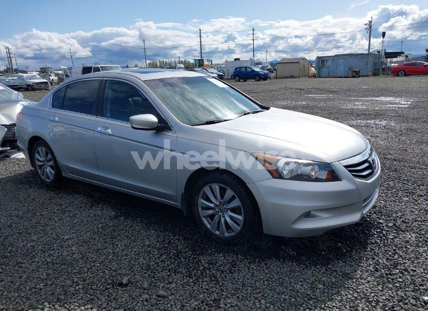 2011 Honda Accord 3.5 EX-L (VIN 1HGCP3F83BA008843) main photo