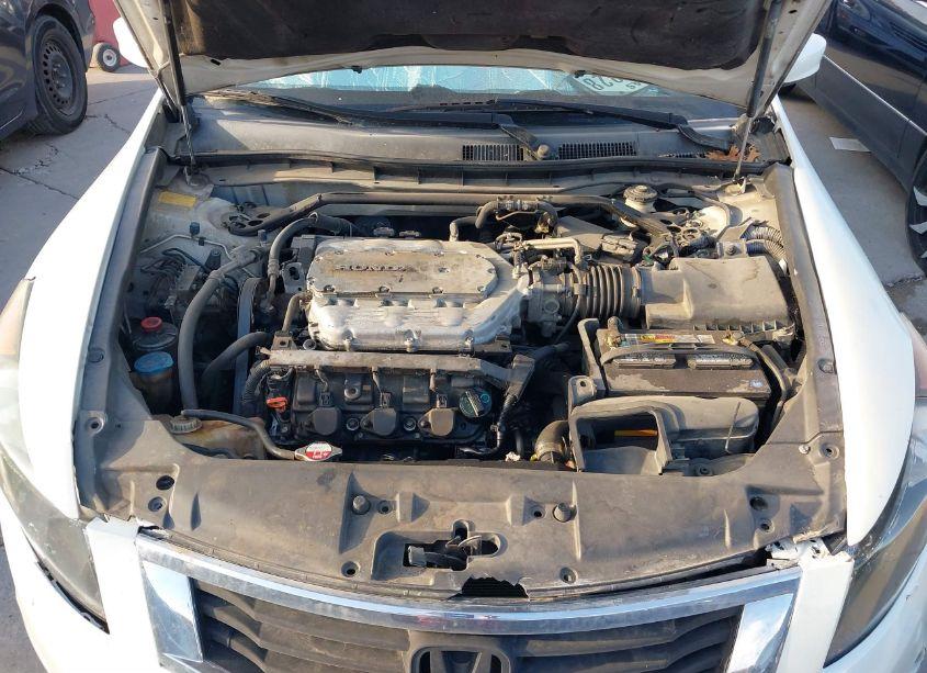 Photo 10 of 2010 Honda Accord 3.5 EX-L (VIN 1HGCP3F84AA007411)