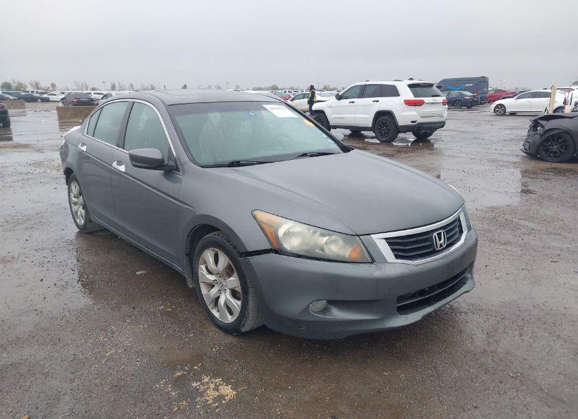 2010 Honda Accord 3.5 EX-L (VIN 1HGCP3F84AA012429) main photo