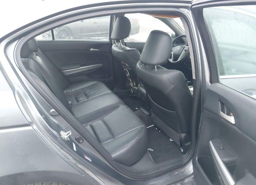 Photo 8 of 2010 Honda Accord 3.5 EX-L (VIN 1HGCP3F84AA012429)