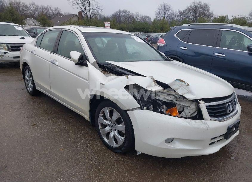 Photo 6 of 2010 Honda Accord 3.5 EX-L (VIN 1HGCP3F84AA012608)