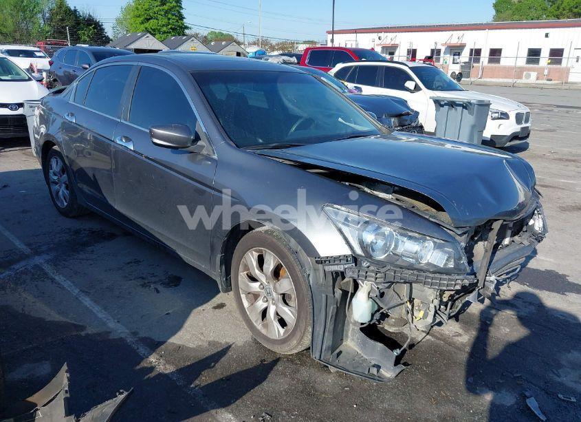 2010 Honda Accord 3.5 EX-L (VIN 1HGCP3F84AA015430) main photo