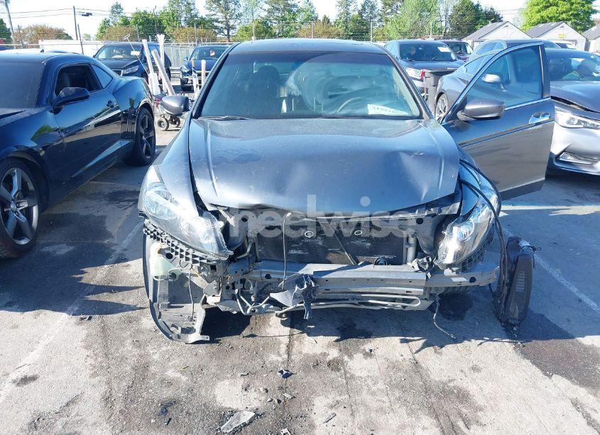 Photo 6 of 2010 Honda Accord 3.5 EX-L (VIN 1HGCP3F84AA015430)