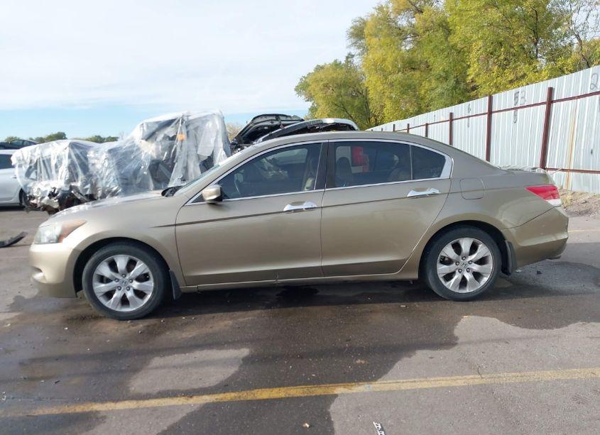 Photo 14 of 2010 Honda Accord 3.5 EX-L (VIN 1HGCP3F84AA018540)