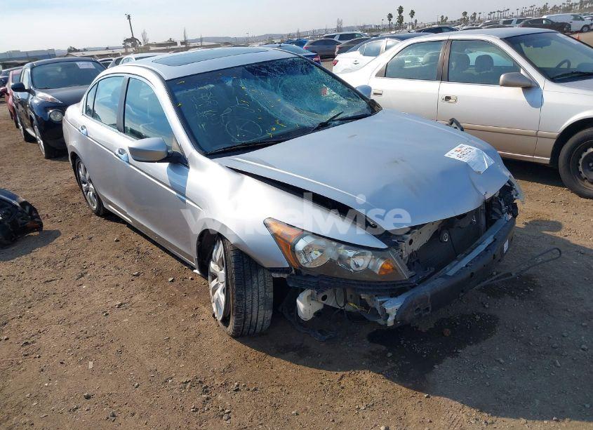 2010 Honda Accord 3.5 EX-L (VIN 1HGCP3F84AA023480) main photo