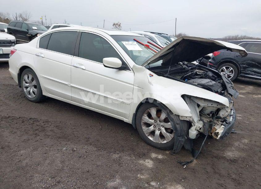 2010 Honda Accord 3.5 EX-L (VIN 1HGCP3F84AA028856) main photo