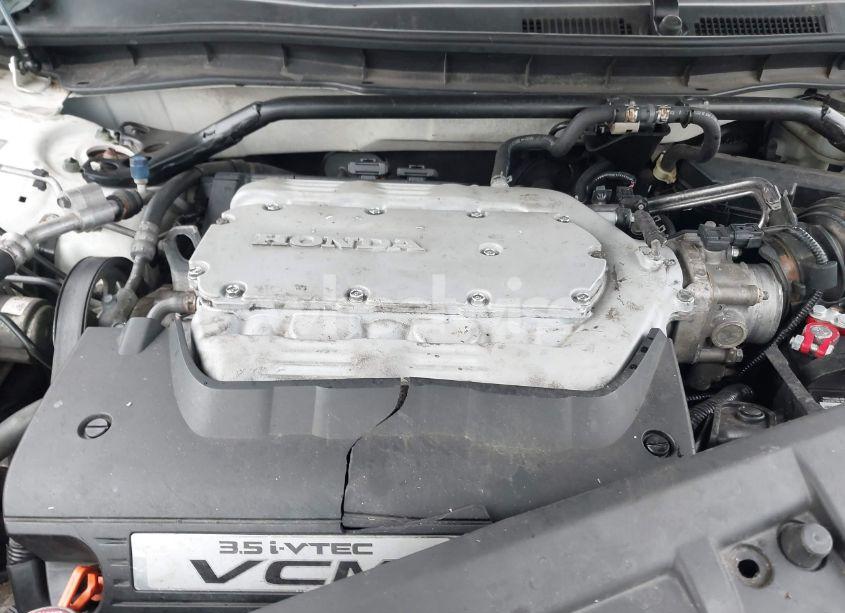 Photo 10 of 2010 Honda Accord 3.5 EX-L (VIN 1HGCP3F84AA028856)
