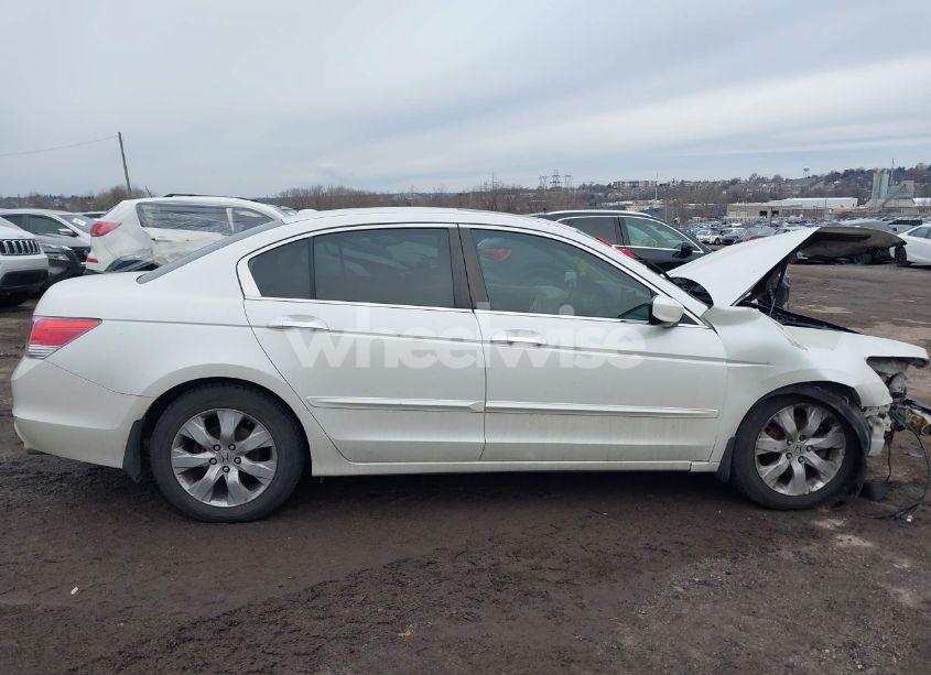 Photo 13 of 2010 Honda Accord 3.5 EX-L (VIN 1HGCP3F84AA028856)