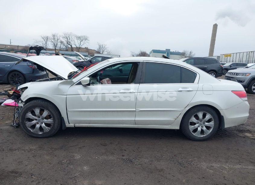 Photo 14 of 2010 Honda Accord 3.5 EX-L (VIN 1HGCP3F84AA028856)