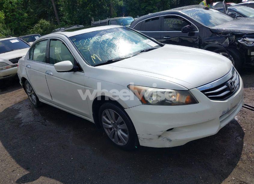 2011 Honda Accord 3.5 EX-L (VIN 1HGCP3F84BA003120) main photo