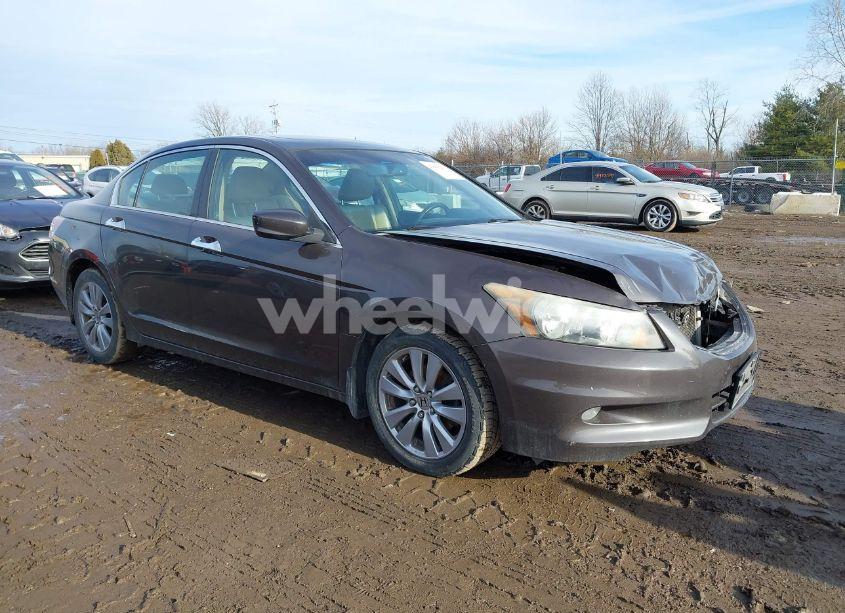 2011 Honda Accord 3.5 EX-L (VIN 1HGCP3F84BA004204) main photo