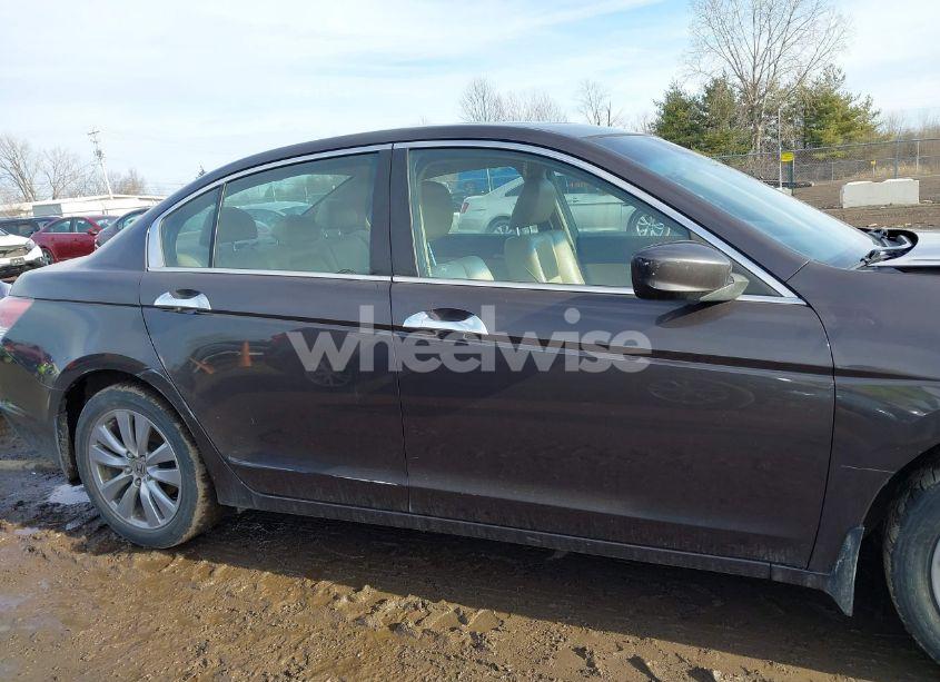 Photo 13 of 2011 Honda Accord 3.5 EX-L (VIN 1HGCP3F84BA004204)