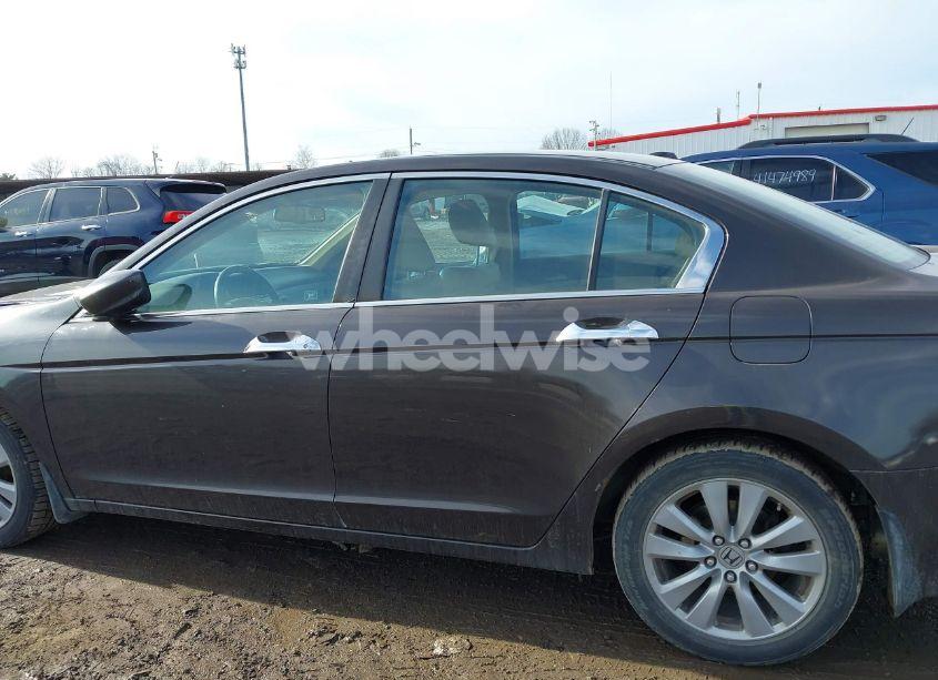 Photo 14 of 2011 Honda Accord 3.5 EX-L (VIN 1HGCP3F84BA004204)