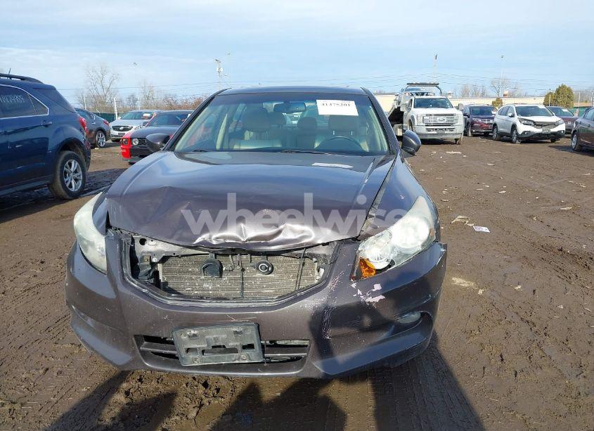 Photo 6 of 2011 Honda Accord 3.5 EX-L (VIN 1HGCP3F84BA004204)