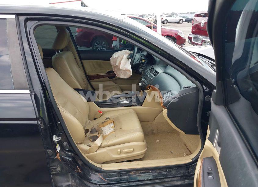 Photo 5 of 2011 Honda Accord 3.5 EX-L (VIN 1HGCP3F84BA023576)