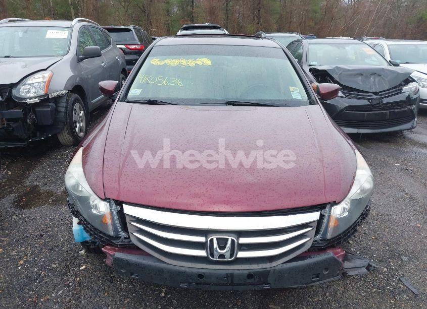 Photo 12 of 2011 Honda Accord 3.5 EX-L (VIN 1HGCP3F84BA032181)