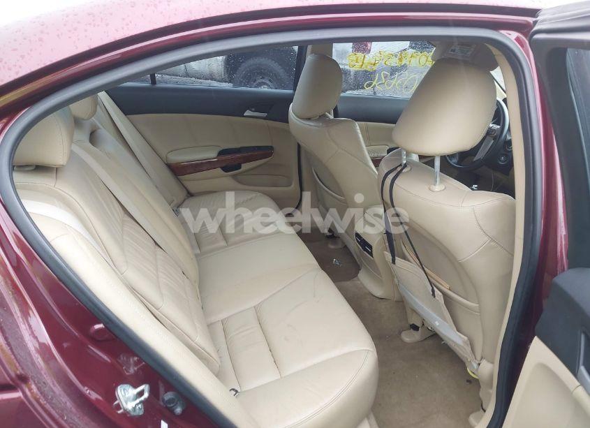 Photo 8 of 2011 Honda Accord 3.5 EX-L (VIN 1HGCP3F84BA032181)