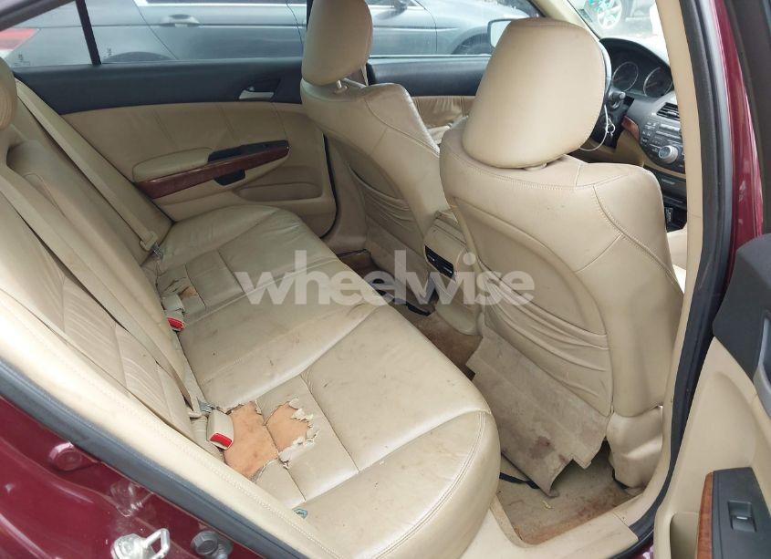 Photo 8 of 2012 Honda Accord 3.5 EX-L (VIN 1HGCP3F84CA041030)