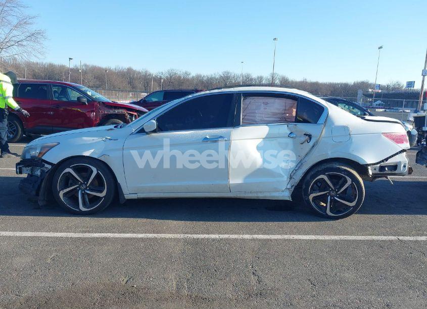 Photo 14 of 2010 Honda Accord 3.5 EX-L (VIN 1HGCP3F85AA001942)