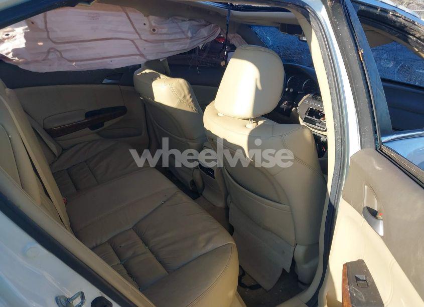 Photo 8 of 2010 Honda Accord 3.5 EX-L (VIN 1HGCP3F85AA001942)