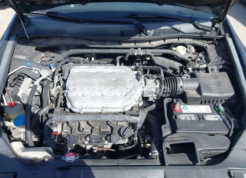 Photo 10 of 2010 Honda Accord 3.5 EX-L (VIN 1HGCP3F85AA003531)