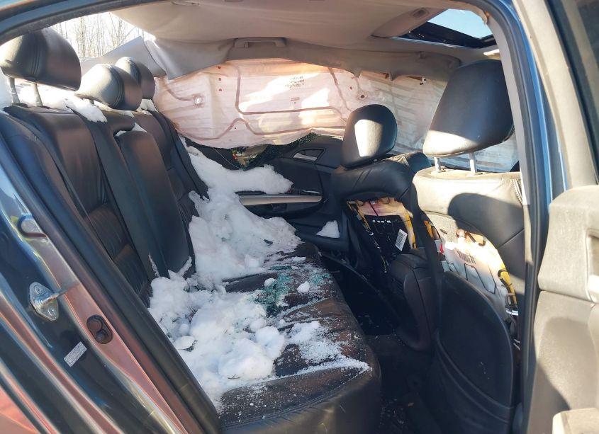 Photo 8 of 2010 Honda Accord 3.5 EX-L (VIN 1HGCP3F85AA012570)