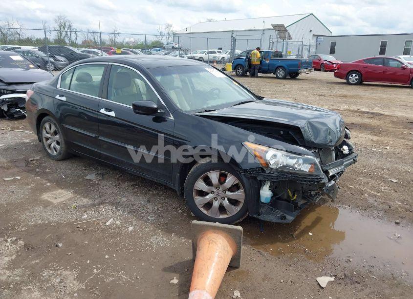 2010 Honda Accord 3.5 EX-L (VIN 1HGCP3F85AA016912) main photo