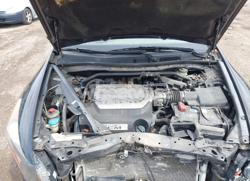 Photo 10 of 2010 Honda Accord 3.5 EX-L (VIN 1HGCP3F85AA016912)