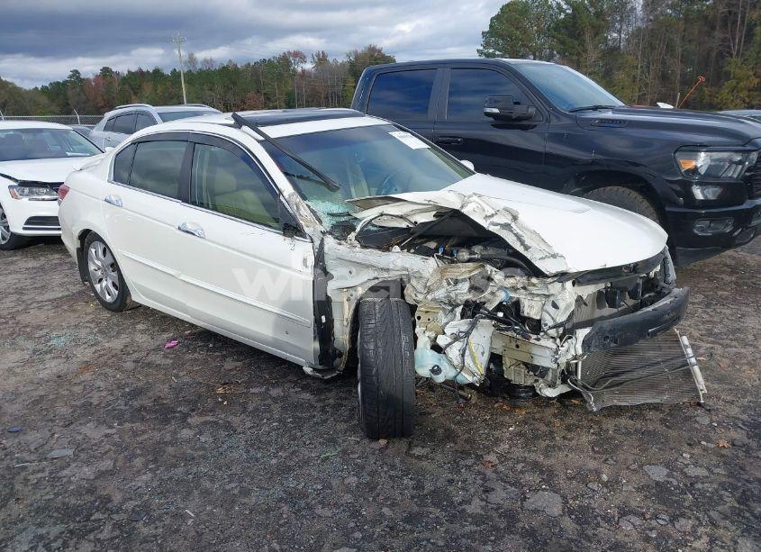 2010 Honda Accord 3.5 EX-L (VIN 1HGCP3F85AA021950) main photo