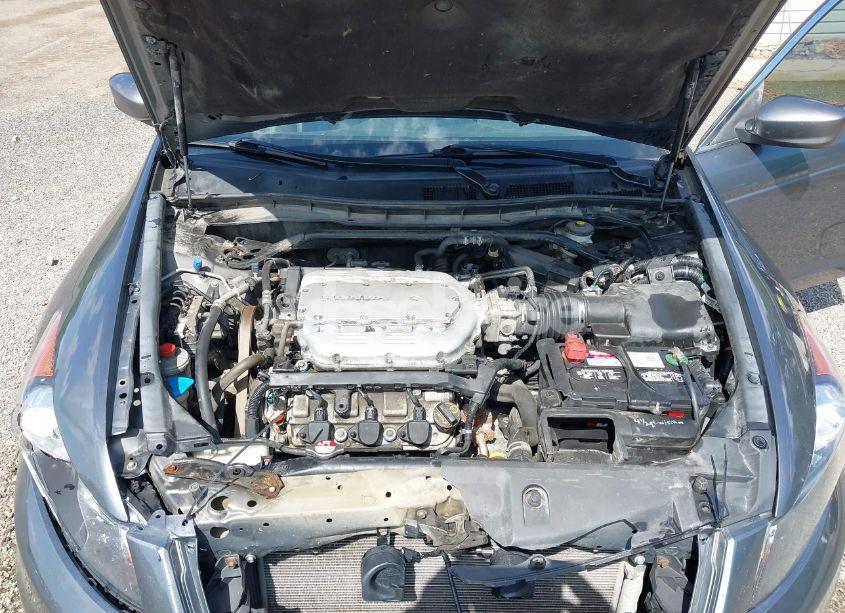 Photo 10 of 2011 Honda Accord 3.5 EX-L (VIN 1HGCP3F85BA004390)