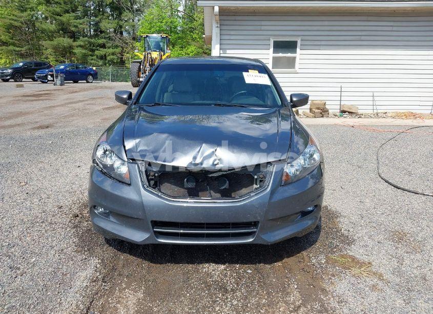 Photo 13 of 2011 Honda Accord 3.5 EX-L (VIN 1HGCP3F85BA004390)