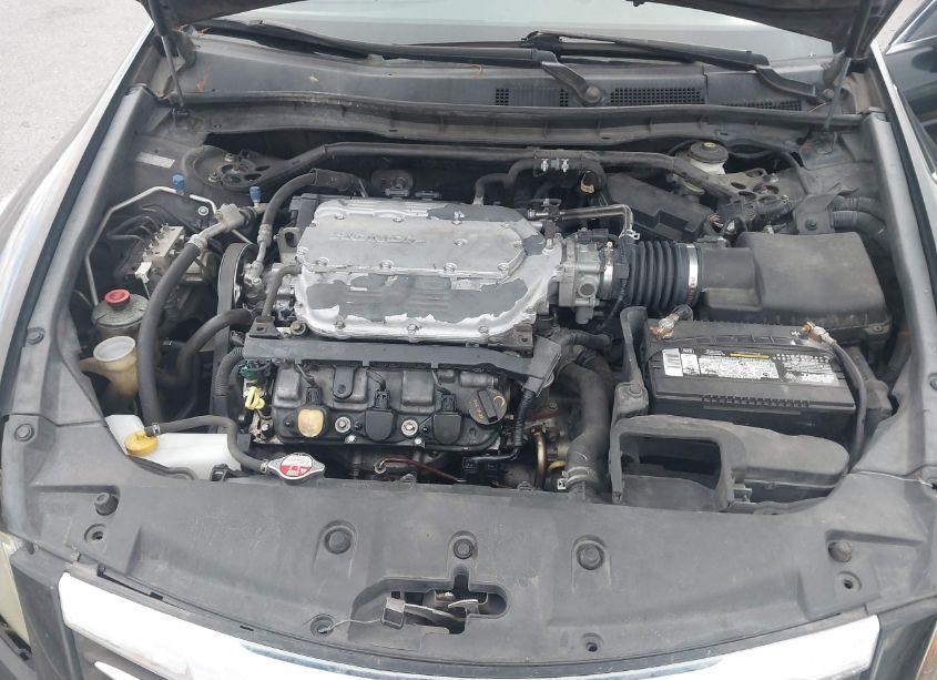 Photo 10 of 2011 Honda Accord 3.5 EX-L (VIN 1HGCP3F85BA017186)