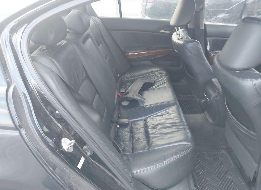 Photo 8 of 2011 Honda Accord 3.5 EX-L (VIN 1HGCP3F85BA017186)