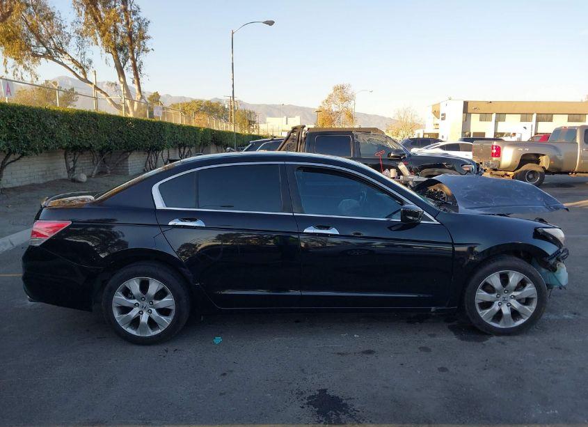 Photo 13 of 2010 Honda Accord 3.5 EX-L (VIN 1HGCP3F86AA019155)