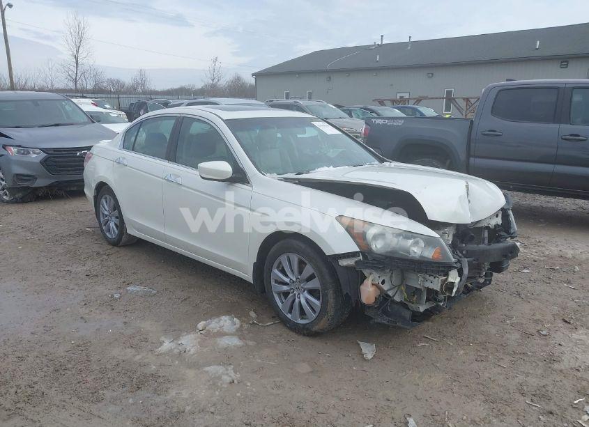 2011 Honda Accord 3.5 EX-L (VIN 1HGCP3F86BA005595) main photo