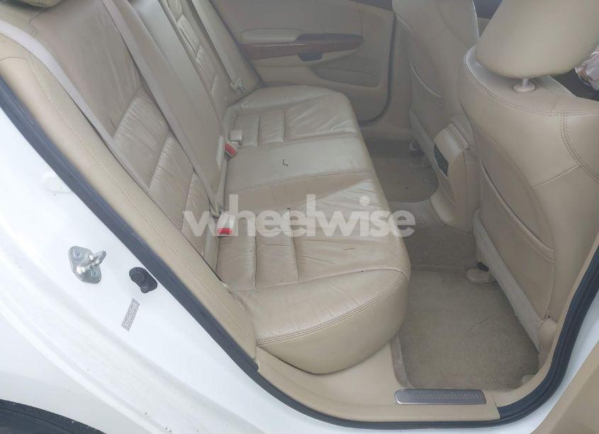 Photo 8 of 2011 Honda Accord 3.5 EX-L (VIN 1HGCP3F86BA005595)