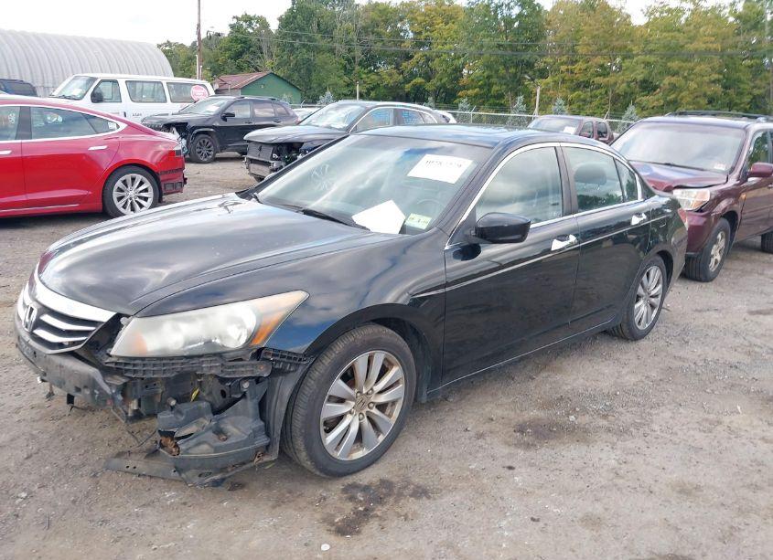 Photo 2 of 2011 Honda Accord 3.5 EX-L (VIN 1HGCP3F86BA008089)
