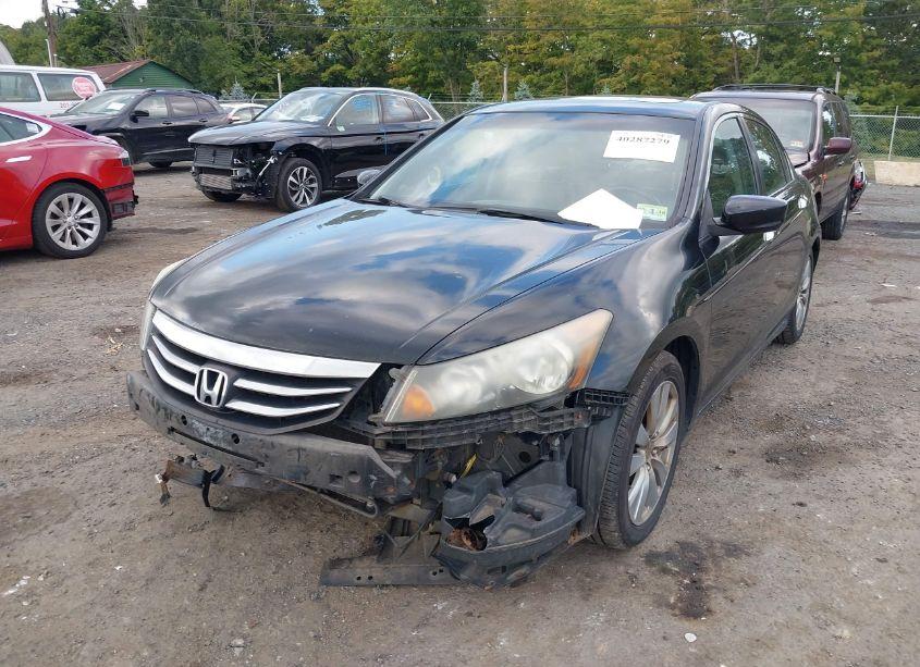 Photo 6 of 2011 Honda Accord 3.5 EX-L (VIN 1HGCP3F86BA008089)