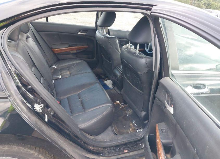 Photo 8 of 2011 Honda Accord 3.5 EX-L (VIN 1HGCP3F86BA008089)