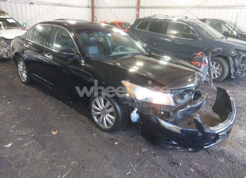 2011 Honda Accord 3.5 EX-L (VIN 1HGCP3F86BA008495) main photo