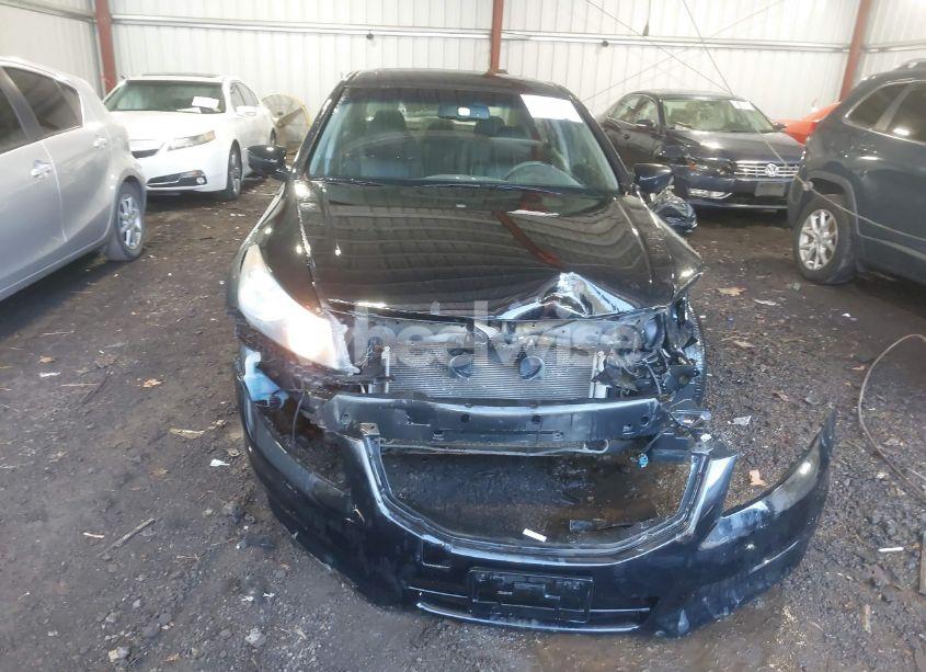 Photo 12 of 2011 Honda Accord 3.5 EX-L (VIN 1HGCP3F86BA008495)