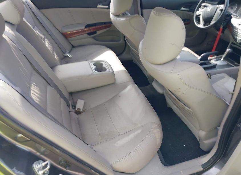 Photo 8 of 2011 Honda Accord 3.5 EX-L (VIN 1HGCP3F86BA010005)