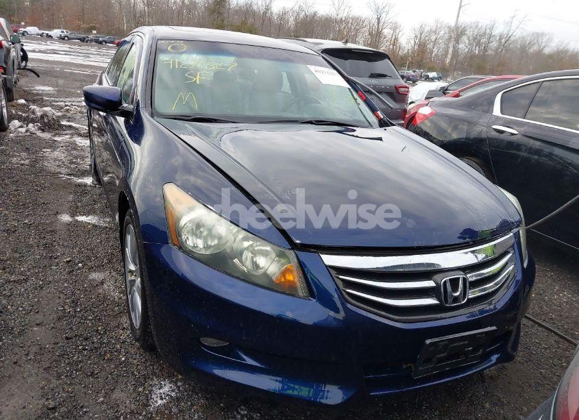 Photo 13 of 2011 Honda Accord 3.5 EX-L (VIN 1HGCP3F86BA010411)