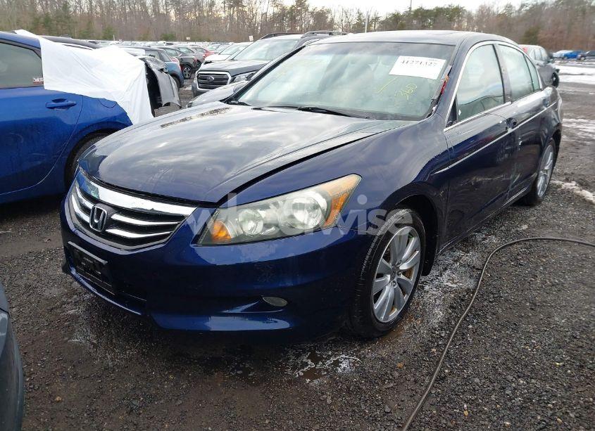 Photo 2 of 2011 Honda Accord 3.5 EX-L (VIN 1HGCP3F86BA010411)