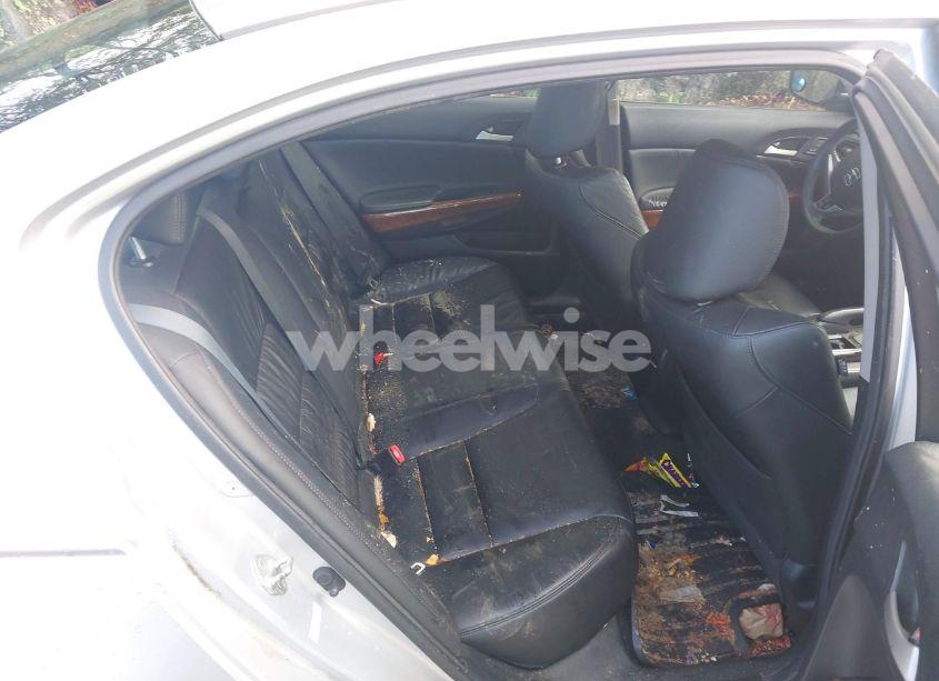 Photo 8 of 2011 Honda Accord 3.5 EX-L (VIN 1HGCP3F86BA025944)