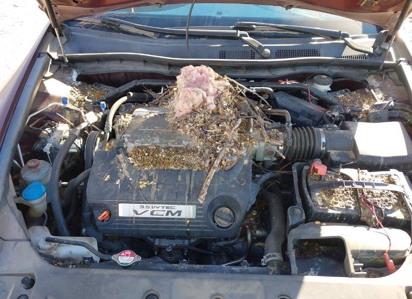 Photo 10 of 2012 Honda Accord 3.5 EX-L (VIN 1HGCP3F86CA030594)