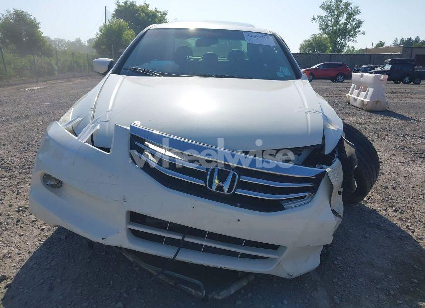Photo 12 of 2010 Honda Accord 3.5 EX-L (VIN 1HGCP3F87AA010951)