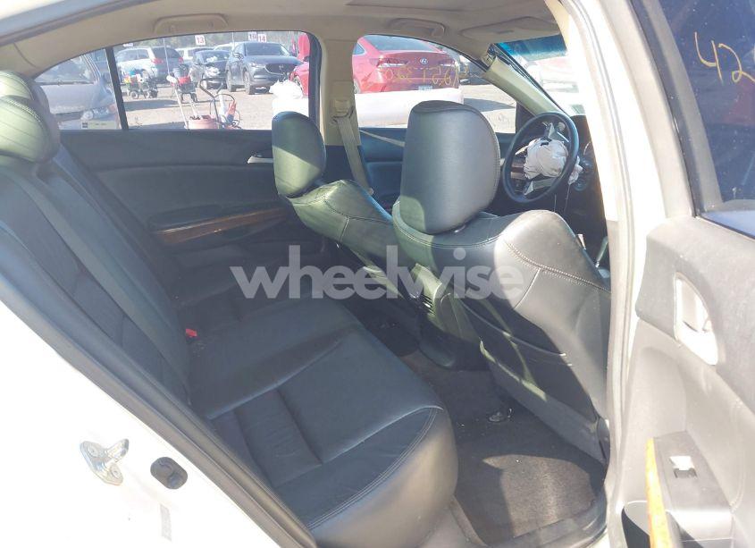 Photo 8 of 2010 Honda Accord 3.5 EX-L (VIN 1HGCP3F87AA010951)